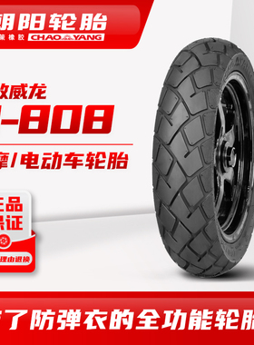 朝阳无敌威龙H-808 3.00-10 穿防弹衣全功能摩托真空轮胎ll