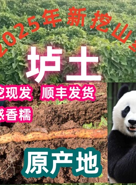 焦作温县特产铁棍山药新鲜垆土铁杆怀淮山药包邮红斑弯曲糯面
