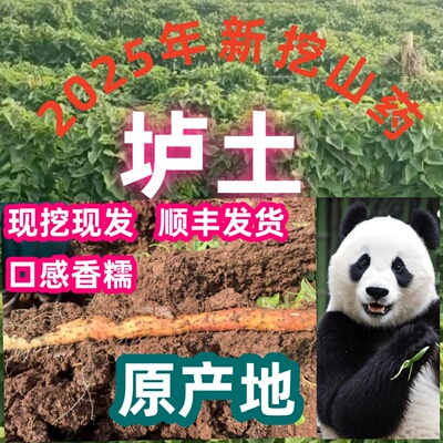 焦作温县特产铁棍山药新鲜垆土铁杆怀淮山药包邮红斑弯曲糯面