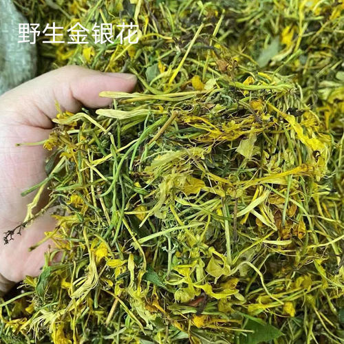 福建深山味道生山一包金银花