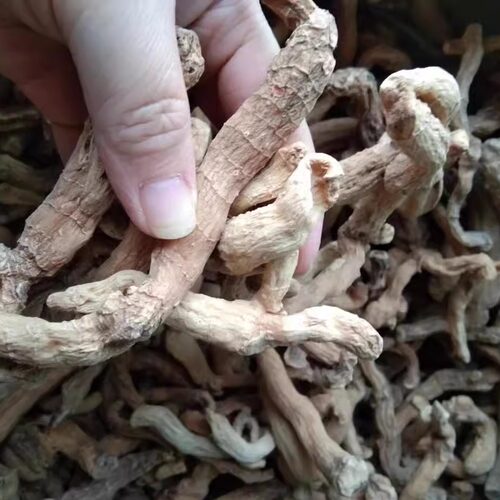 野生天然15年老玉竹无硫磺