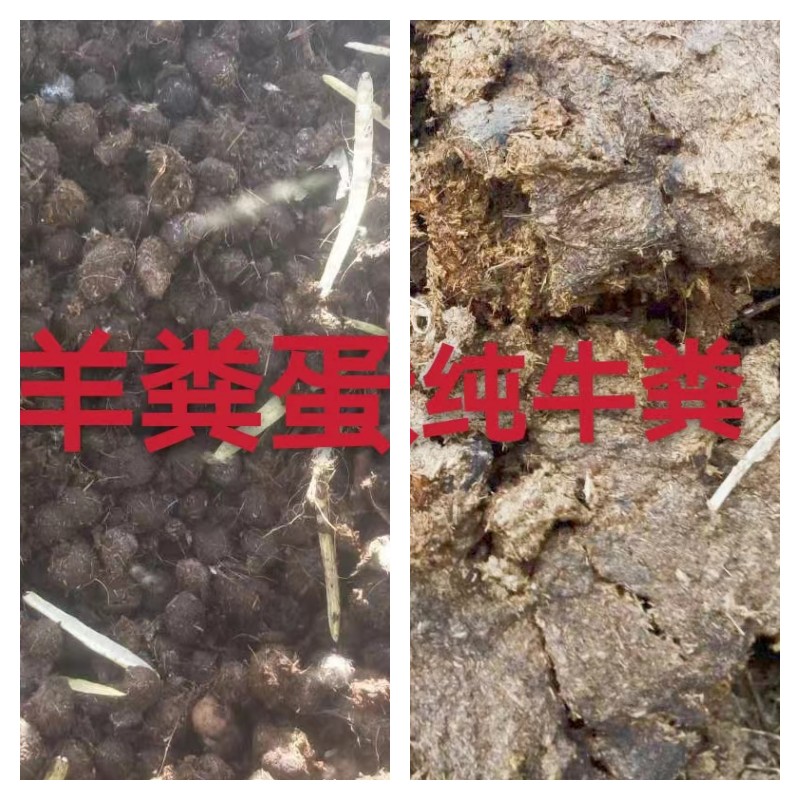 1包邮纯块状牛粪羊粪蛋混合新型草木灰农家肥种花种菜有机肥料