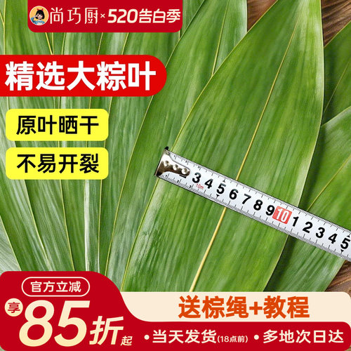 展艺粽子叶干棕叶大号新鲜包粽子新竹叶diy材料端午家用商用批发