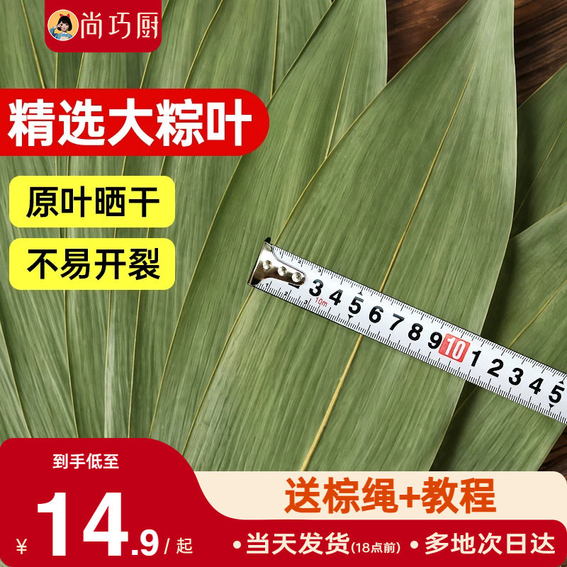 展艺粽子叶干棕叶大号新鲜包粽子新竹叶diy材料端午家用商用批发图片
