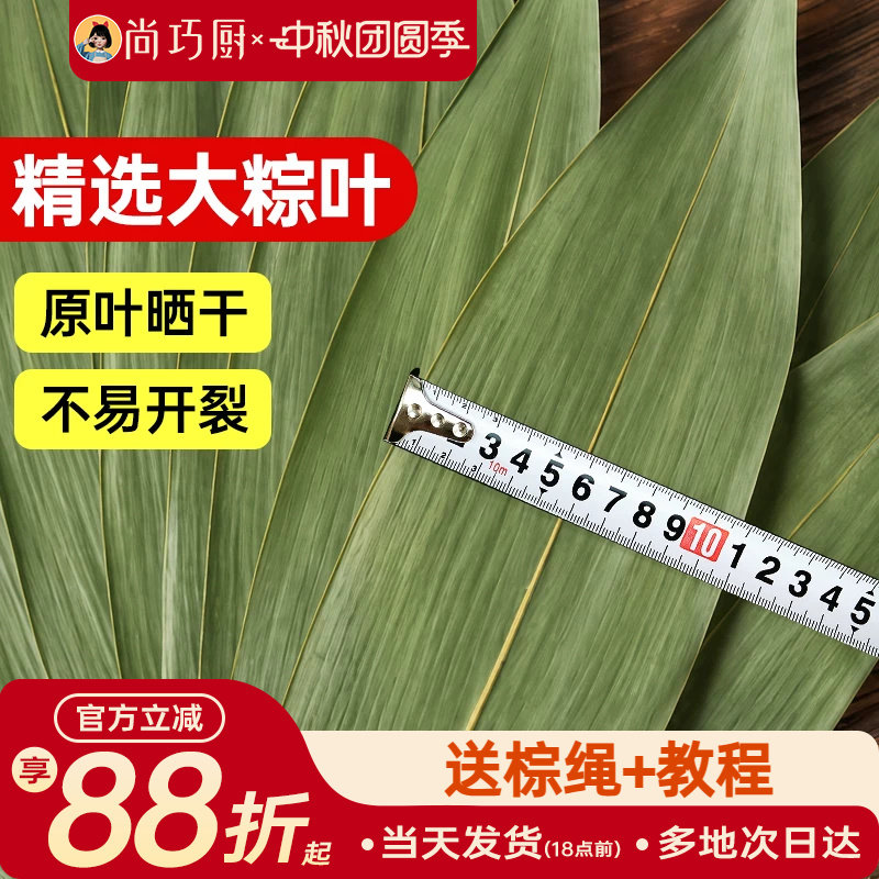 展艺粽子叶干棕叶大号新鲜包粽子新竹叶diy材料端午家用商用批发图片