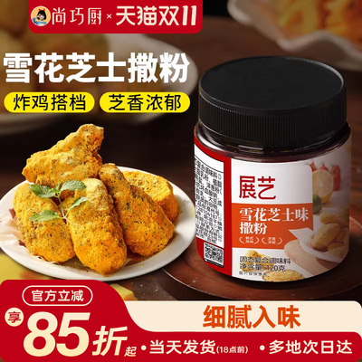 展艺雪花芝士撒粉炸鸡芝士粉撒料