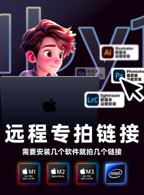 远程安装补差价专用链接/装几个拍几个/单拍不发货