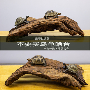 沉木鱼乌龟晒台爬宠龟缸造景爬台木头龟用晒背台躲避深水晒背木头