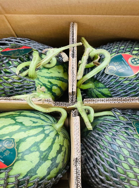 正宗翡翠蒂西瓜大果9斤脆甜当季红壤西瓜海南黑籽麒麟新鲜水果