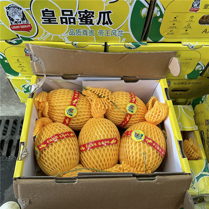海南皇品蜜瓜整箱礼盒装大果新鲜水果12斤金煌哈密瓜黄皮王品甜瓜