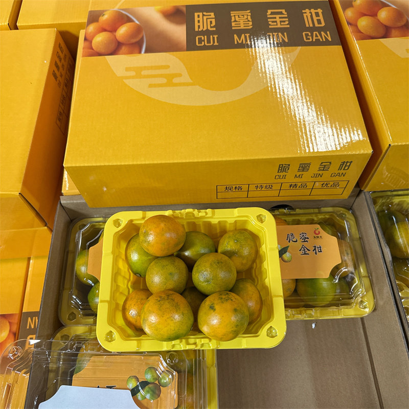 正宗脆蜜金柑大果礼盒装4盒新鲜水果小金橘金桔广西融安包邮