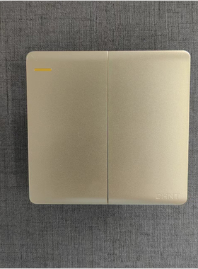 正泰二开多控香槟金 NEW2-U07202二开多控开关二位开关大板无边框