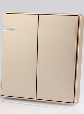 正泰开关面板二联多控 NEW2C-07202二开多控淡香槟金带钢架二开多