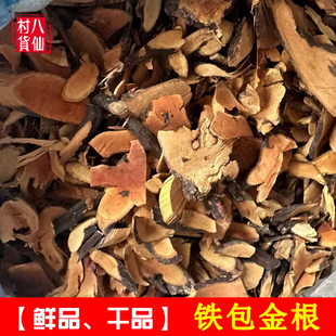野生铁包金根 中药材老鼠耳乌金藤纯根乌龙根茶儿勾小叶铁包金根