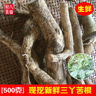 新鲜三丫苦根 现挖三叉苦三桠苦纯根 中草药材三叉虎根 500g 包邮