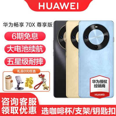 华为畅享70X尊享版6期免息