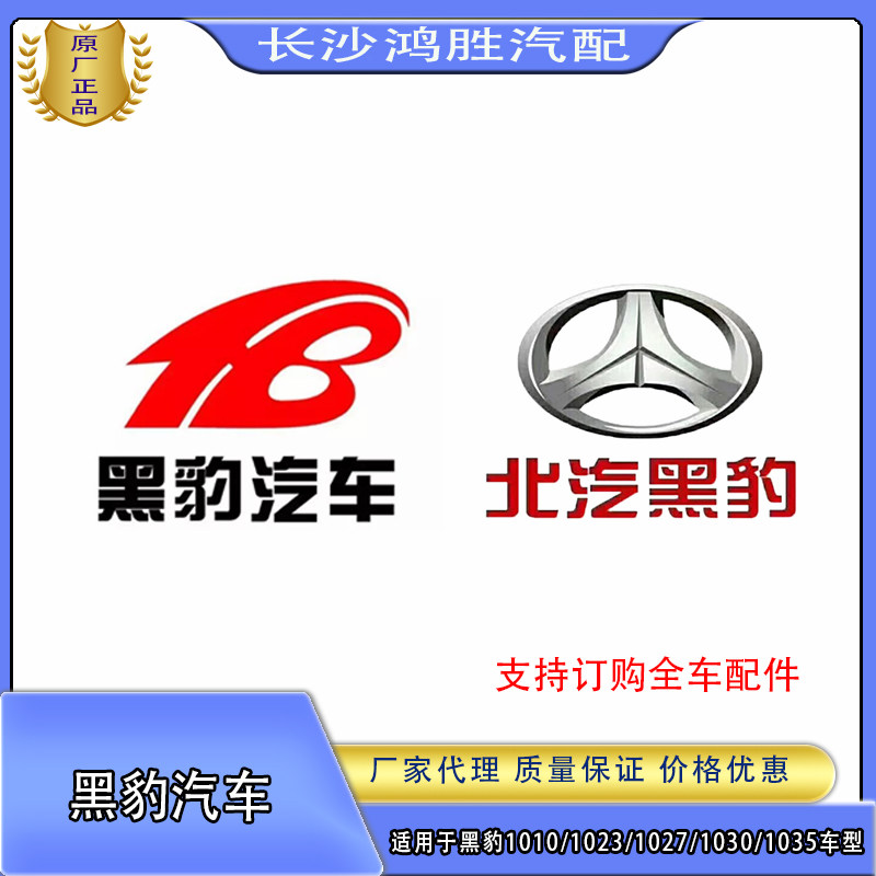 黑豹汽车先锋版创业版旗骏D版