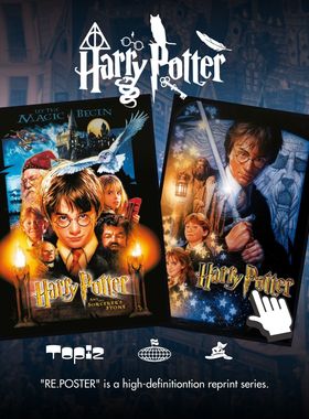 Harry Potter哈利波特霍格沃滋神奇动物有框印刷版画收藏级装饰画