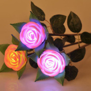 Lumière vélo - Ref 2403880 Image 62