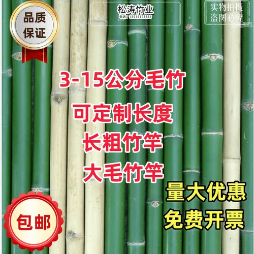 无大毛竹大毛竹跳舞竹竿婚庆用