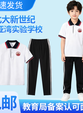 北大新世纪大亚湾实验学校校服夏季校服套装 学生校服春夏男女款