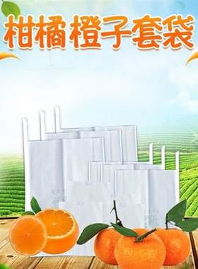 红美人粑粑柑套袋柑橘橙子专用袋