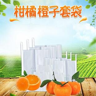 柑橘红美人专用套袋番石榴纸袋橘子橙子不知火丑橘爱媛脐橙耙耙柑