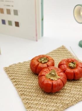 巴西进口小南瓜手工DIY材料天然