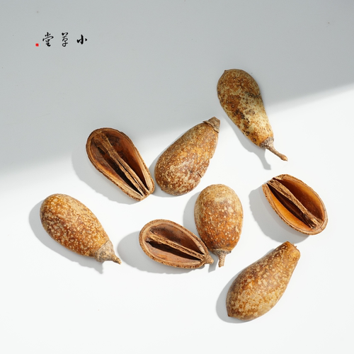 【黄梨果瓣】进口植物果实果壳干果手工娃娃素材材料diy配饰装饰