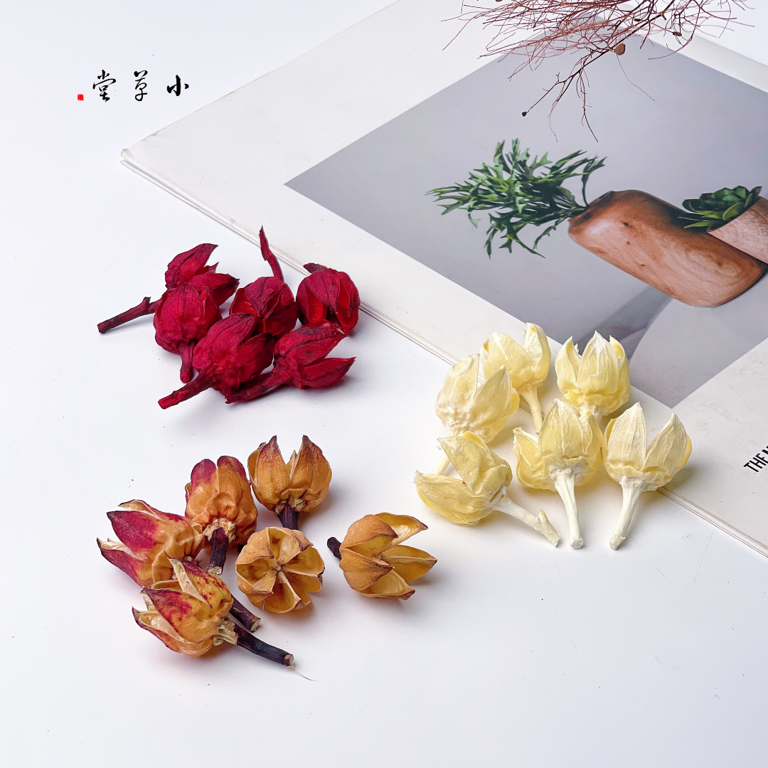 【玫瑰茄果】天然植物干花果实 森系花环 diy装饰永生花拍摄背景,家居饰品,干花/花瓣/干花包/干树枝,淘宝优惠券,粉丝福利购,淘宝优惠卷