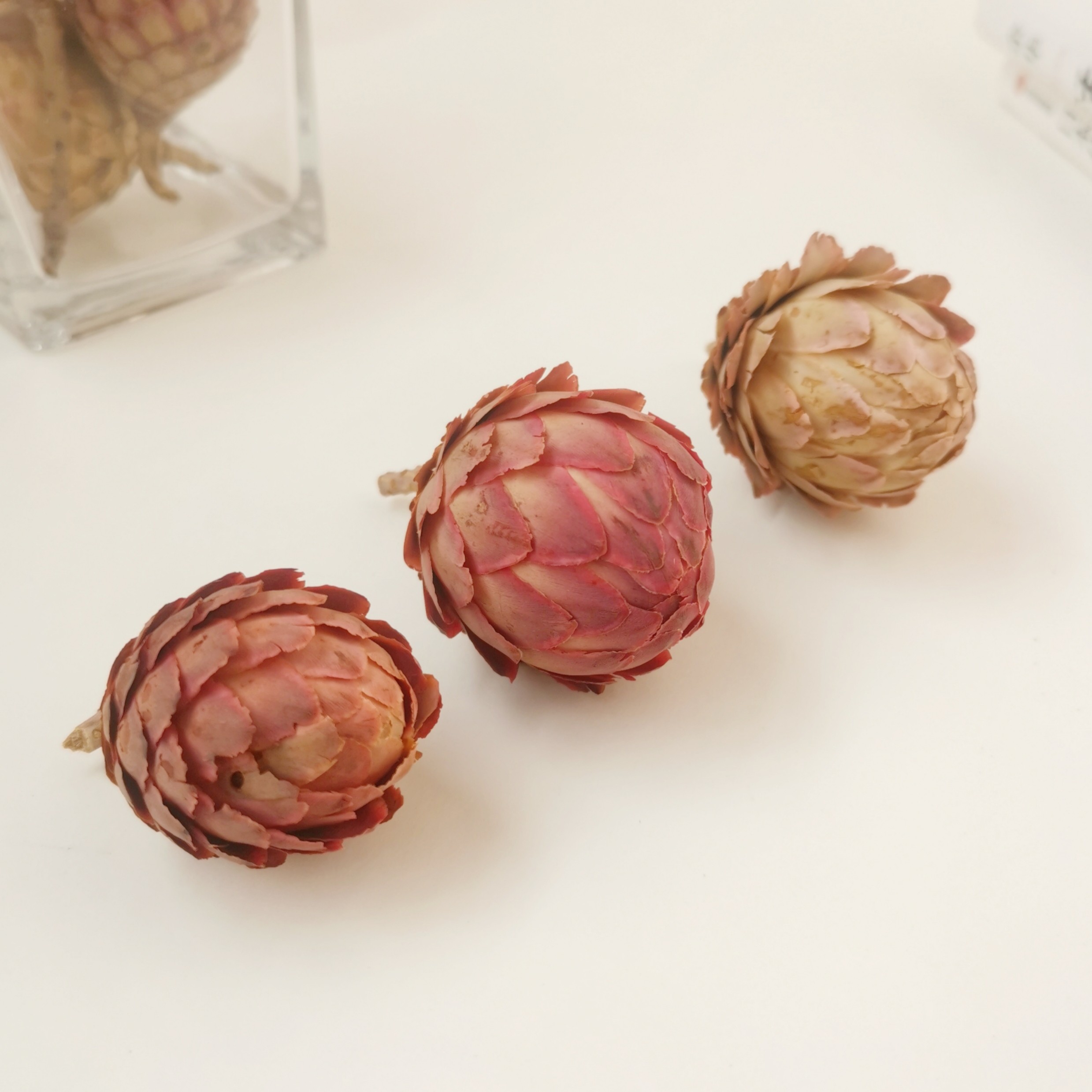 【火凤凰】天然植物干花花头永生花果实 手工DIY材料道具香薰配饰,家居饰品,干花/花瓣/干花包/干树枝,淘宝优惠券,粉丝福利购,淘宝优惠卷