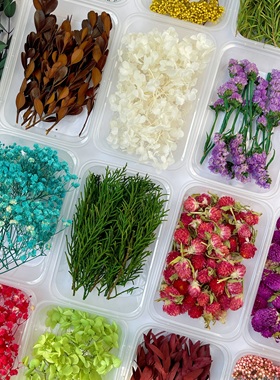 高级天然植物干花diy材料包花盒满天星玫瑰花尤加利叶真花摆件装