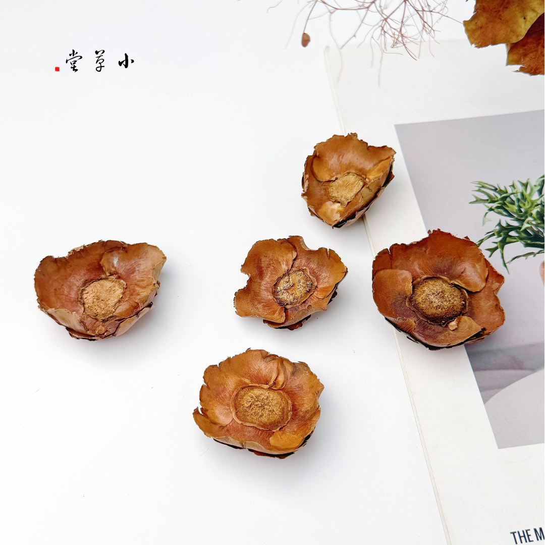 【椰子花】天然复古泰国进口干花干果拍摄道具样板房植物装饰干花