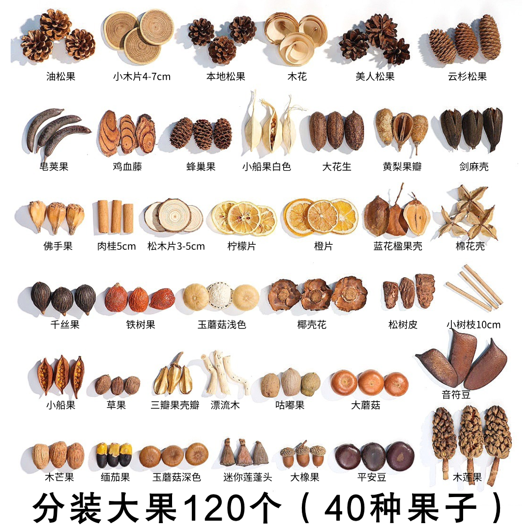 大于3cm果实天然果实橡果松果幼儿园环创材料拍摄道具手工diy果子