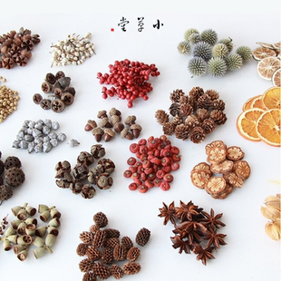 松果木片橡果干果壳材料植物标本相框手工diy干花材料包陈列装饰