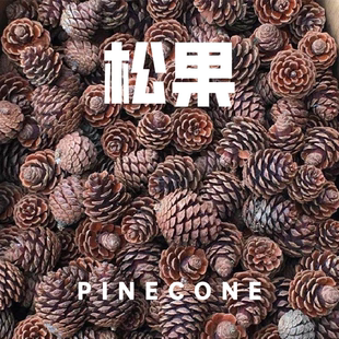 大量松果装饰圣诞野生松塔干花树枝幼儿园创意松果手工diy材料
