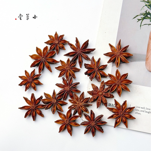 【八角果】完整天然植物果实 手工diy幼儿环创餐饮拍摄标本收集