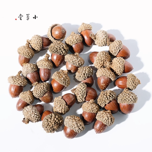 【小橡果】天然橡果橡子手工diy素材植物果实收集幼儿环创教育