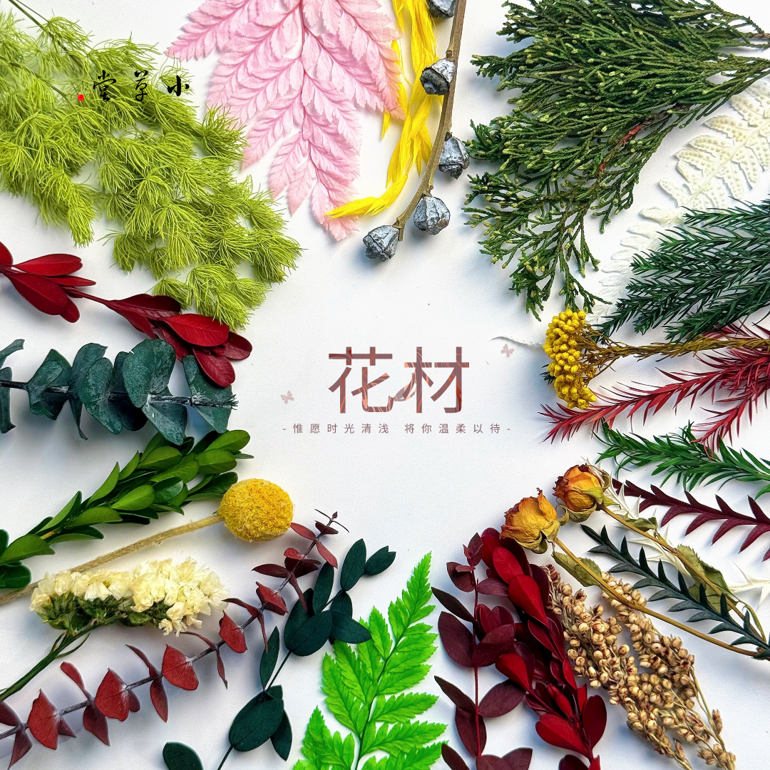 永生叶子树叶尤加利叶羊齿叶黄杨