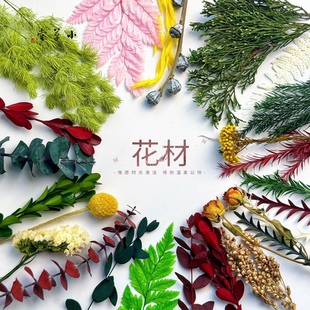 永生花叶子尤加利叶千层金叶高山羊齿叶草浮游花叶材diy手工材料