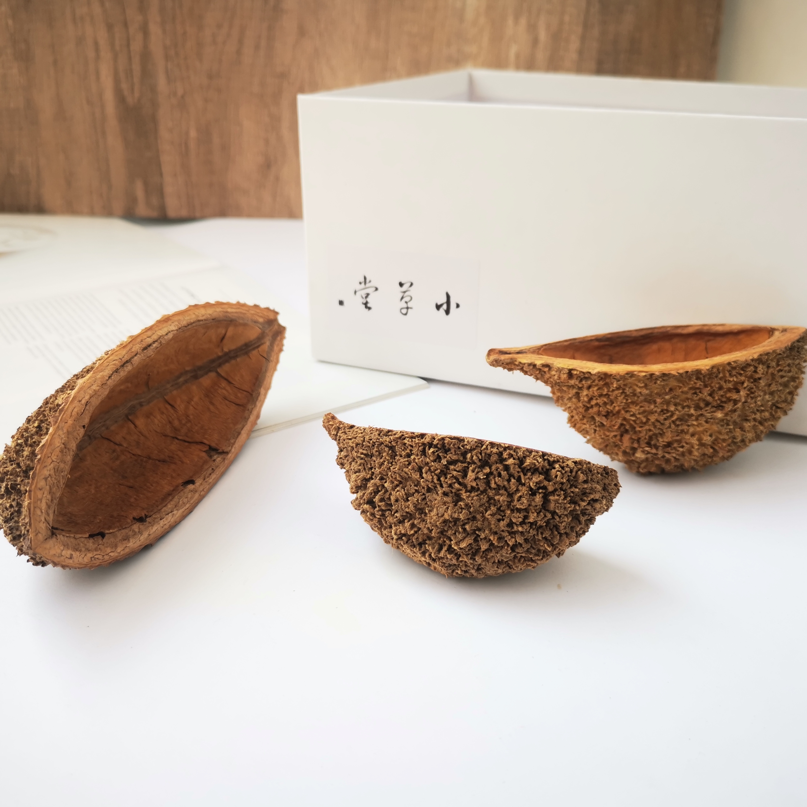 小草堂天然植物果壳进口刺猬壳
