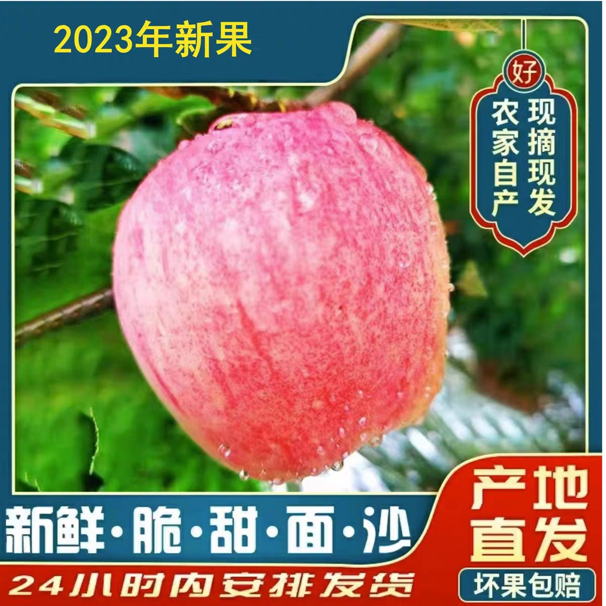 2023年苹果新鲜水果早熟脆甜丑孕妇现摘当季整箱5斤红富士非昭通