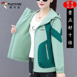 啄木鸟连帽冲锋衣女2026新款春秋薄款防风夹克休闲百搭女士短外套