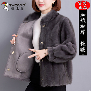 皮毛一体外套宽松加厚保暖立领皮草上衣女 短款 啄木鸟2025冬季 新款