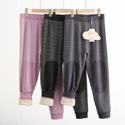 聪聪鱼加肥加大男童棉裤新款