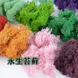 永生苔藓软胶diy手工仿真植物植被沙盘场景模型灌木丛草丛树丛