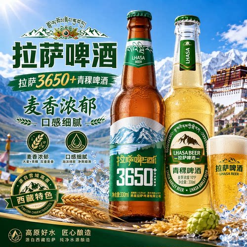拉萨啤酒青稞长发酵330ml*24