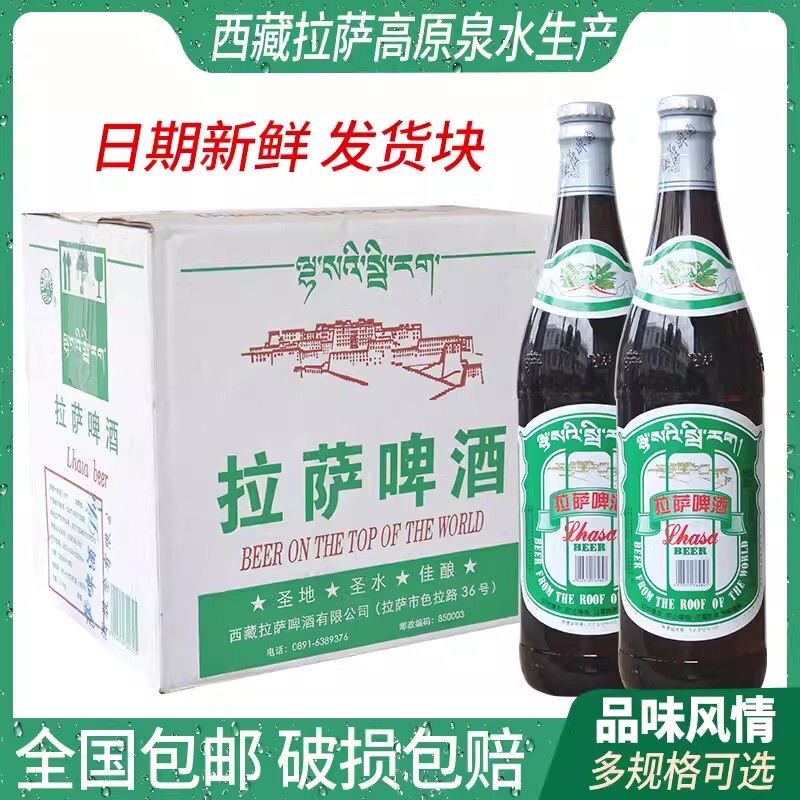 拉萨啤酒经典大瓶12瓶整箱麦香