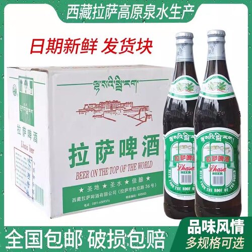 拉萨啤酒经典大瓶12瓶整箱麦香