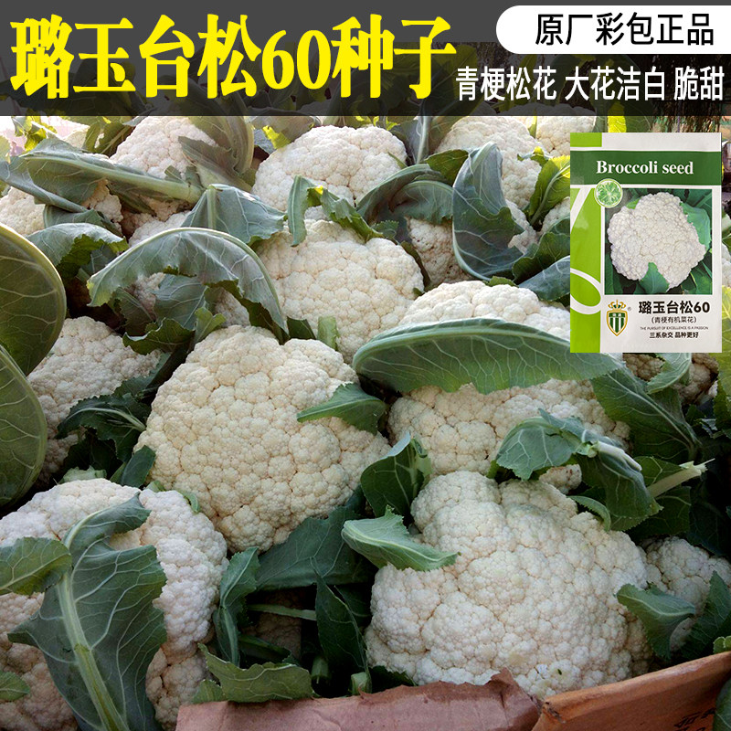 璐通璐玉台松60 65菜花种子 农田菜园基地花椰菜耐热耐湿产量高种